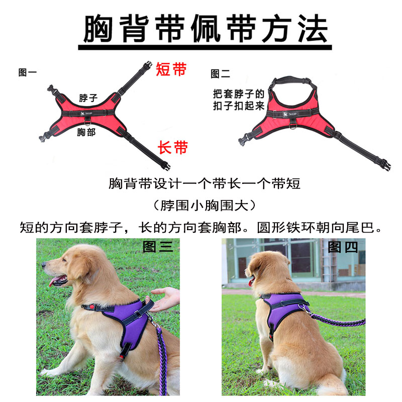 马犬牵引绳大型犬可伸缩金毛背心式小型狗绳中型狗狗脖圈遛狗神器