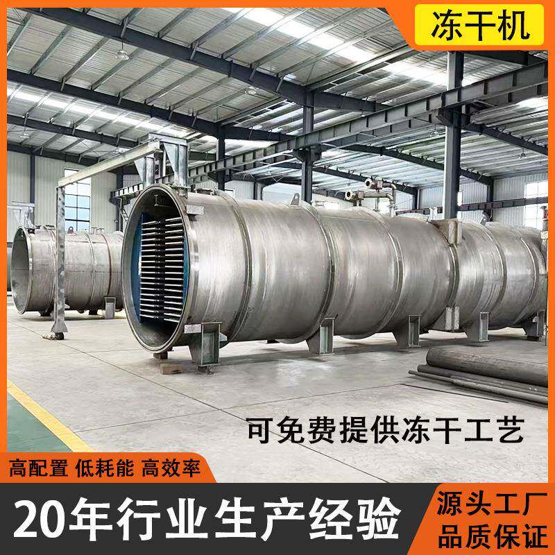 新型商用真空冻干机菠萝蜜糖果低温冻干机咖啡牛肉类真空冷干燥机