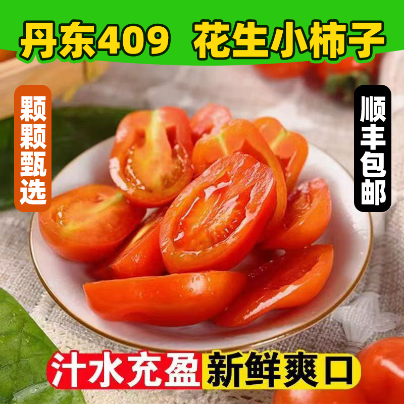 皮薄多汁409小柿子甜水果圣女果