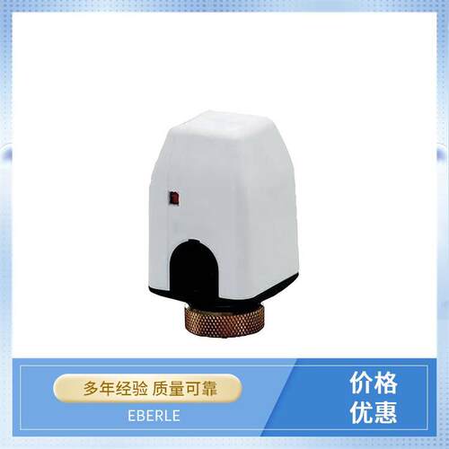 EBERLE房间湿度控制器RTR-E
