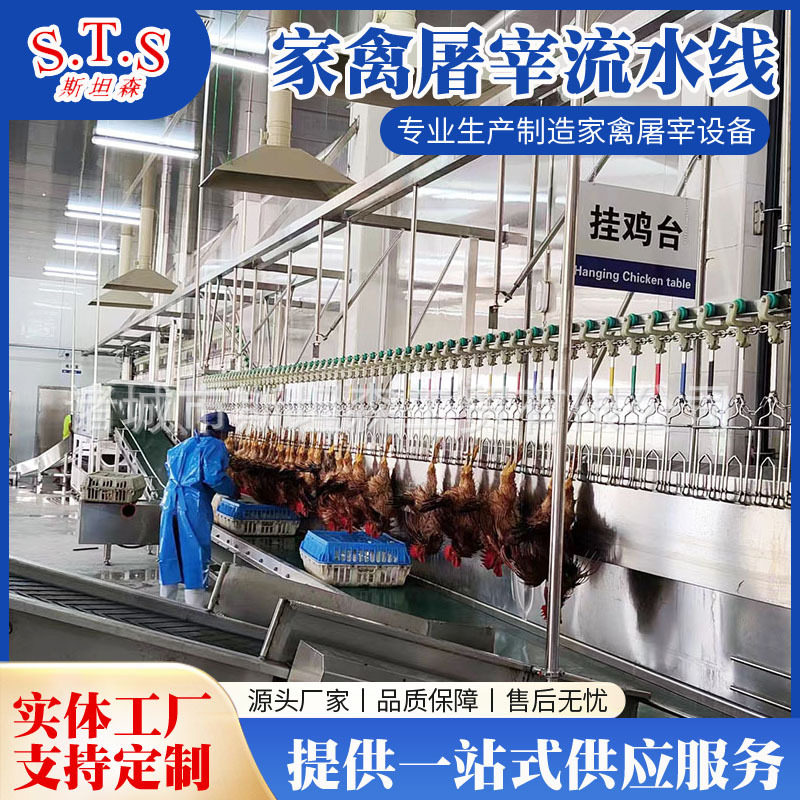 中小型家禽屠宰流水线自动脱毛机