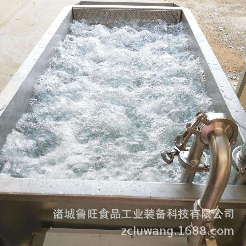 恒温解冻槽小型果蔬清洗机气泡涡流式清洗机