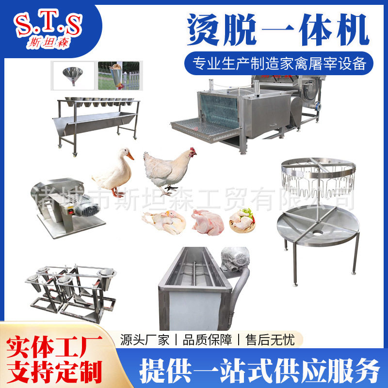 小产量家禽屠宰线设备鸡鸭鹅自动烫脱一体机鸽子鹌鹑自动脱毛机