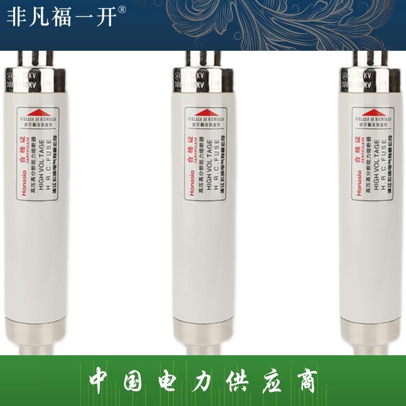 高压限流熔断器XRNT10-12KV10A20A40A50A63安80A100A箱变保险管丝