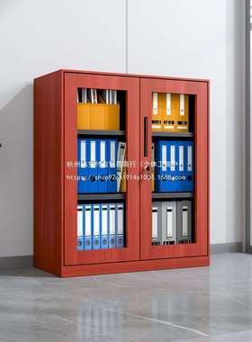 办公室钢制木纹转印文件柜铁皮家用更衣柜带锁书柜红色黄色原木色