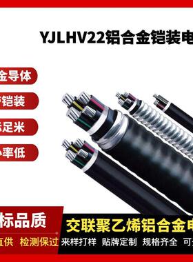 YJLHV22铝合金铠装电缆3芯光伏并网专用线缆国标电缆铝芯