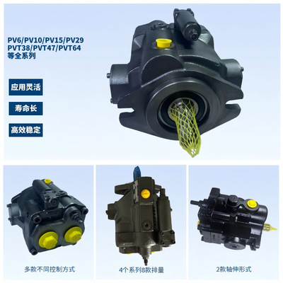 适用于丹尼逊轴向柱塞泵PV62R1EC02denison液压油泵配件及维修