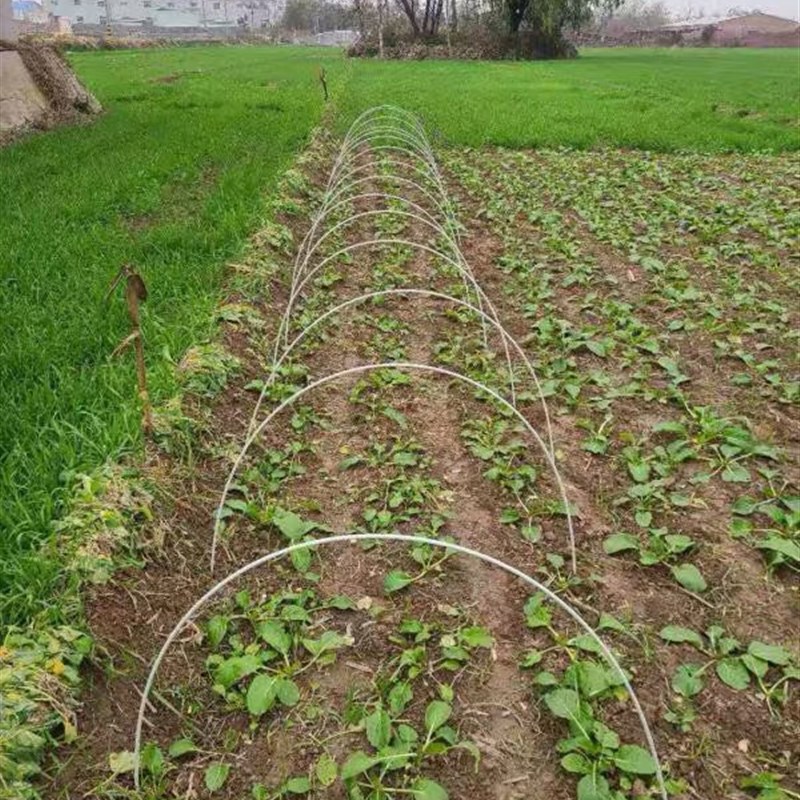 果树支架蔬菜棚保温棚花棚拱棚支架农用玻璃纤维杆园艺大棚纤维棒