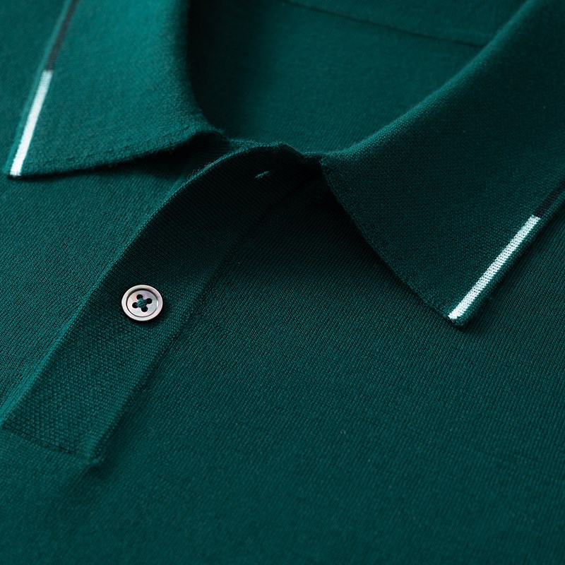 薄款精纺长袖polo领羊毛衫男100纯羊毛毛衣男针织衫男士秋季新款