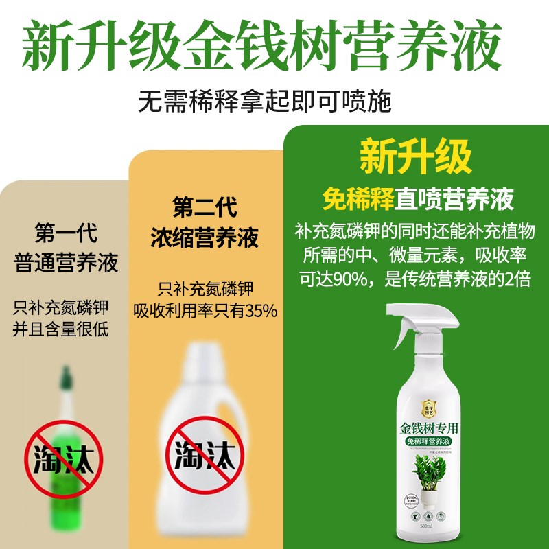 金钱树专用营养液叶子发黄烂根专用肥料钱串子盆栽叶面肥摇钱树