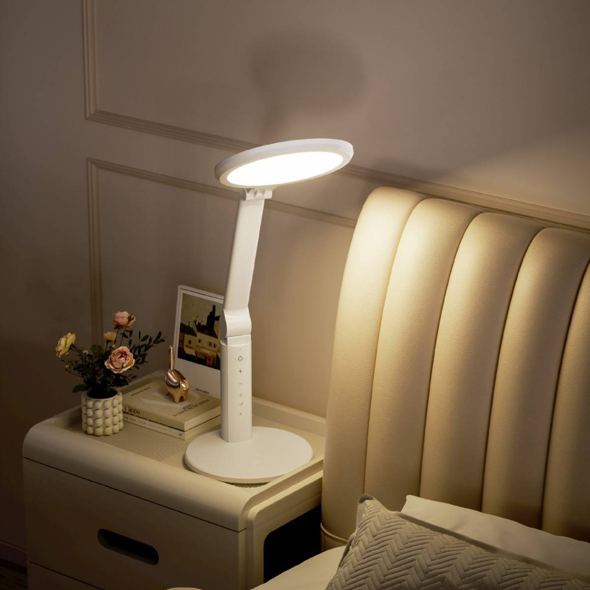 全光谱RG0国AA级充插两用阅读书桌读写学生专用护眼 台灯