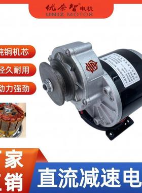 三自243行车膨化机手推播种机改车装电机12V24V3大功率6有刷MY1轮