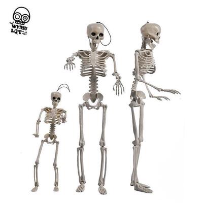 Halloween skeleton pose standing human simulation万圣骷髅架
