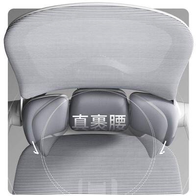 联丰人体工学SVB椅脑家学用办公椅学生习椅宿舍椅久坐电可躺电竞