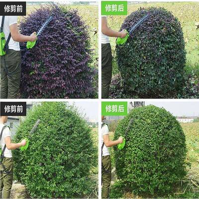 级双刃大功率电款动绿篱剪现货续航时间长的轻升便型NMM绿篱机