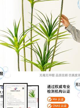 假绿植龙血客树轻F97TT696奢仿真植物高端室内厅装饰落地件大生型