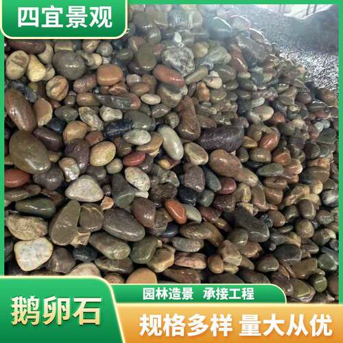 天然鹅卵石铺路造184景花石庭院铺家地各规格雨鹅软暖石庭用院装