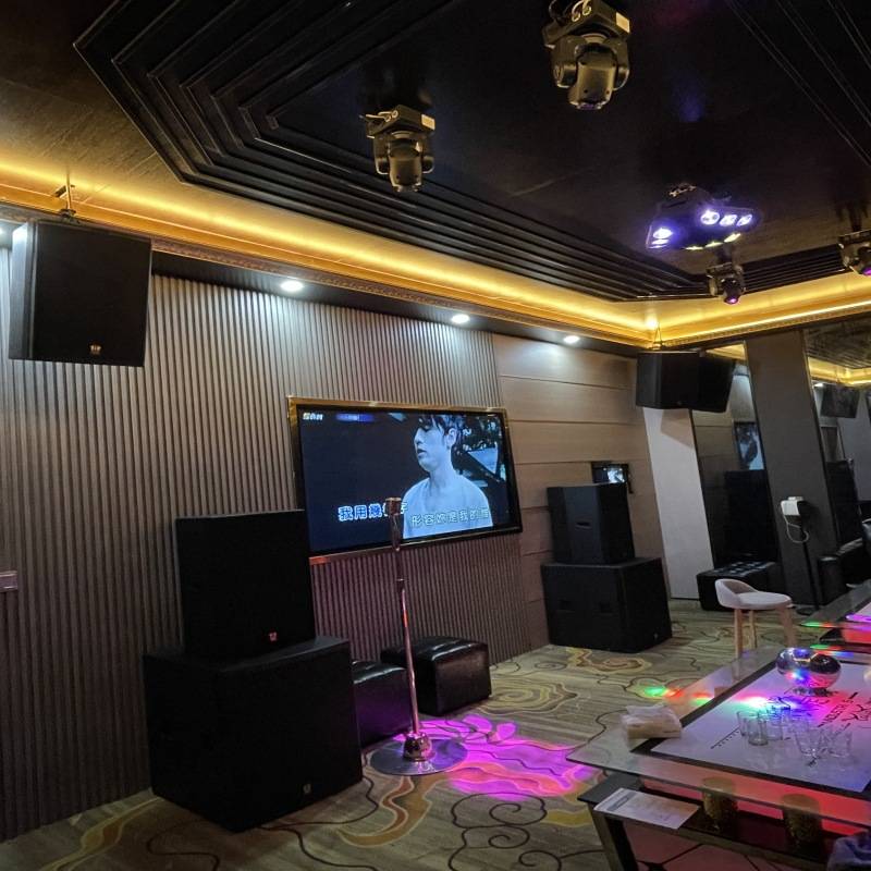专业10寸音箱沐足卡拉OK舞台家庭影院会议室音响 家庭KTV音箱套装