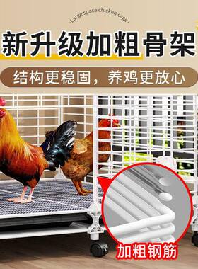 鸡笼子家用室超号带接粪盘内脚垫外专用养殖大铁KBJ笼家禽鹅鸭鸡