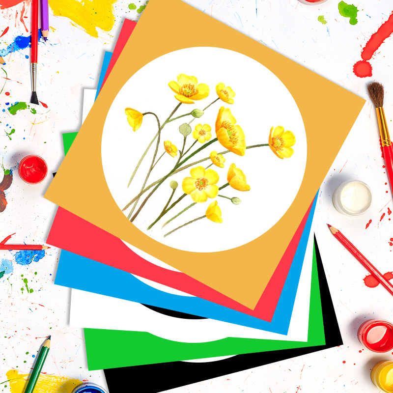 彩色边框卡纸圆形画纸儿童美术画画卡纸硬正方形内圆外方手工制作