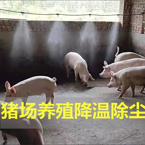 雾化微喷头套装自动浇花浇水神器养殖降温喷除尘雾喷灌系统农业灌