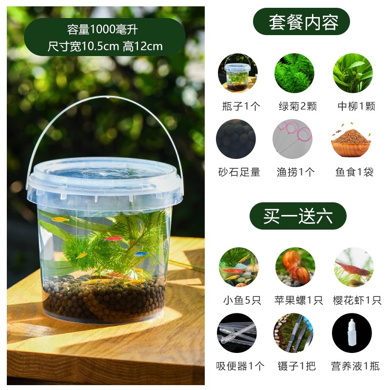 【双十一】生态瓶桌面微景观自循环免打理小植物鱼缸小鱼小虾礼物