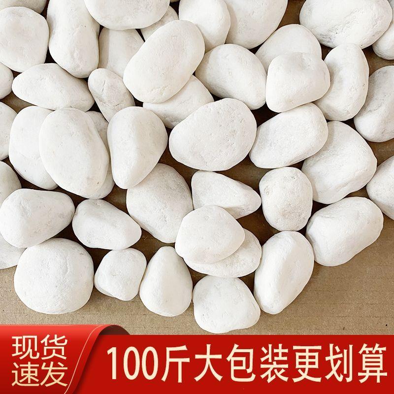 100斤白石子白色鹅卵石庭