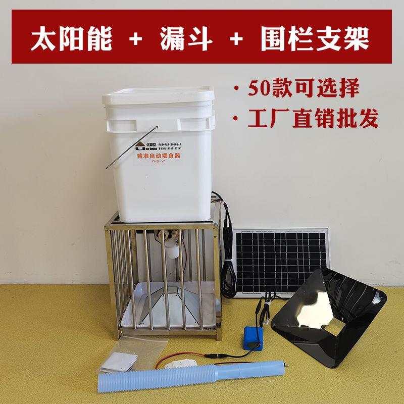 鸽子用品用具全自动喂食