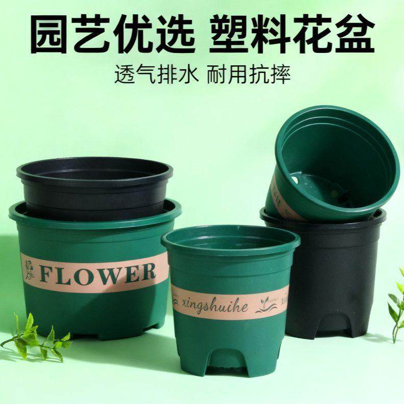 加伦盆控根盆新款透气绿