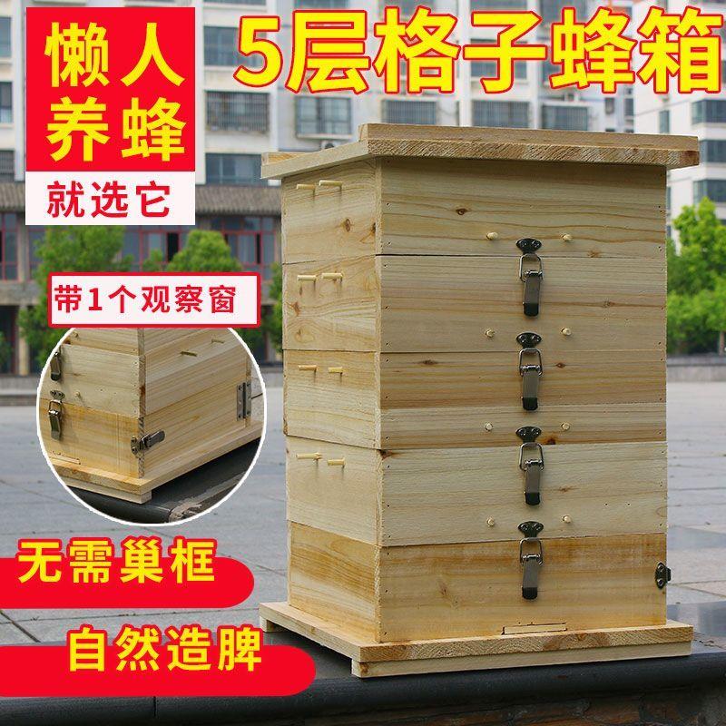 中蜂格子箱烘干土养蜜煮