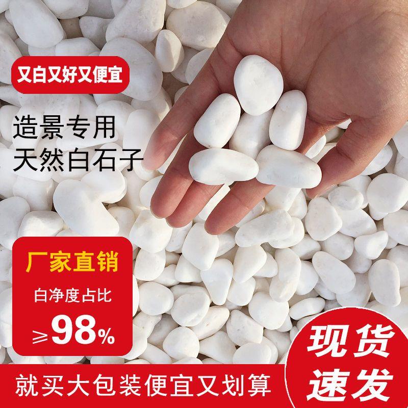 无粉末精品白石子鹅卵石