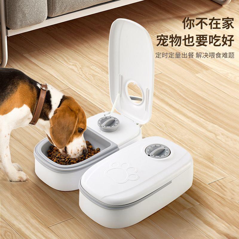 大容量自动喂食器二合一