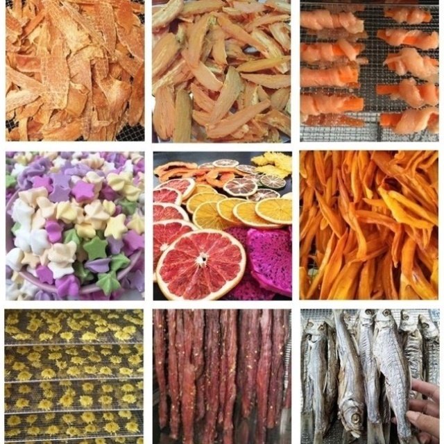商用干果机水果食品烘干机小型家用宠物零食芒果肉类腊肠烘干机