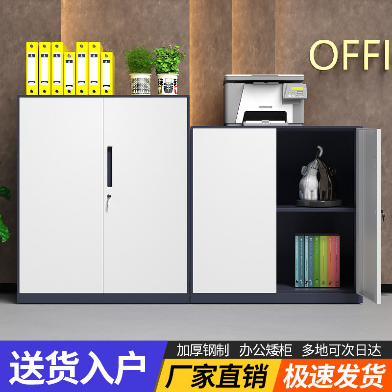 拆装文件柜加厚铁皮柜资料柜档案柜办公室带锁储物柜钢制凭证矮柜