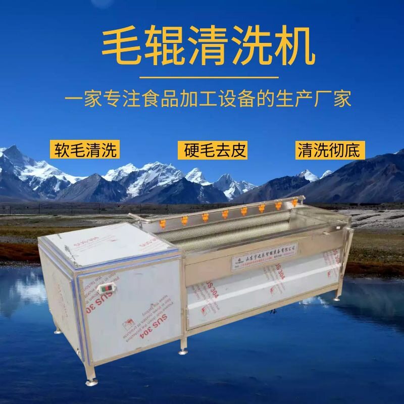 土豆清洗机全自动毛刷 毛辊土豆清洗去皮机 海蛎子海螺去泥清洗机