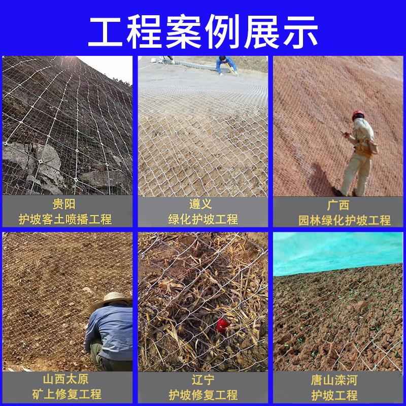 镀菱形勾花网锌铁丝网圈地殖隔离防防护公路JYW围栏养边坡护勾花