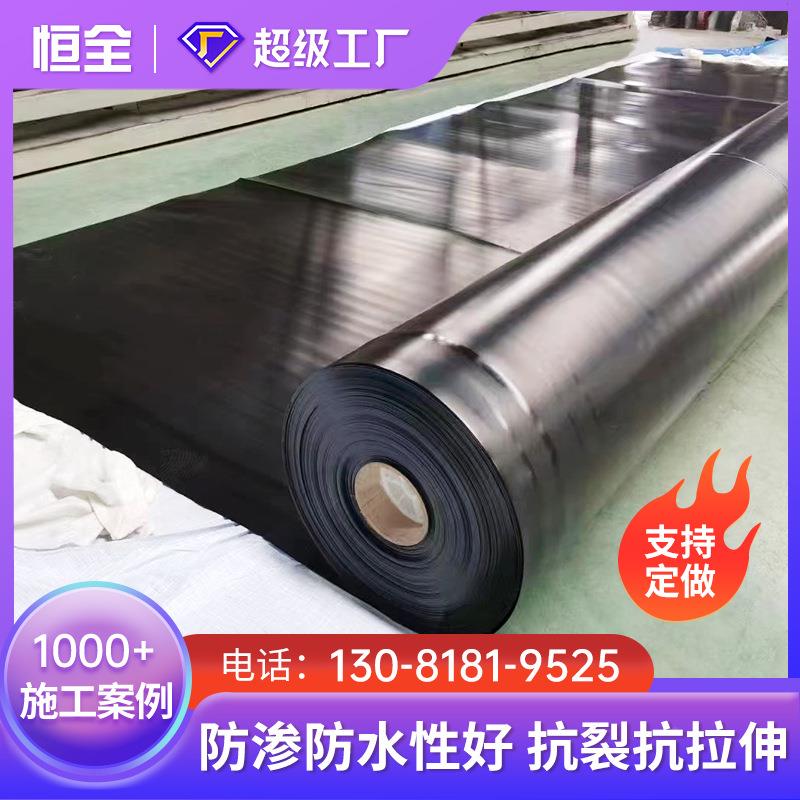 防渗土工膜人工湖河道治理聚用乙烯复合e土工02膜渠道防渗土hdp工
