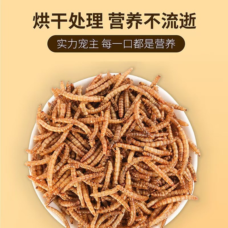 中小型鹦鹉面包虫干饲料鸟粮虎皮牡丹玄凤仓鼠高蛋白饲料1200克