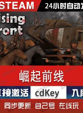 崛起前线Rising Front Steam电脑联机单机游戏CDK全DLC序列号密钥