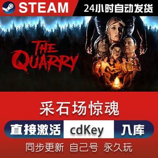 steam采石场惊魂 激活码CDKey在线电脑单机游戏兑换码入库