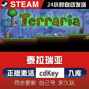 Steam正版【泰拉瑞亚Terraria】国区CDKEY激活入库CDK激活码