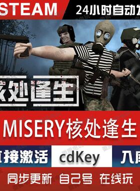 MISERY核处逢生steam游戏cdkey激活码单机电脑游戏全球区入库玩pc