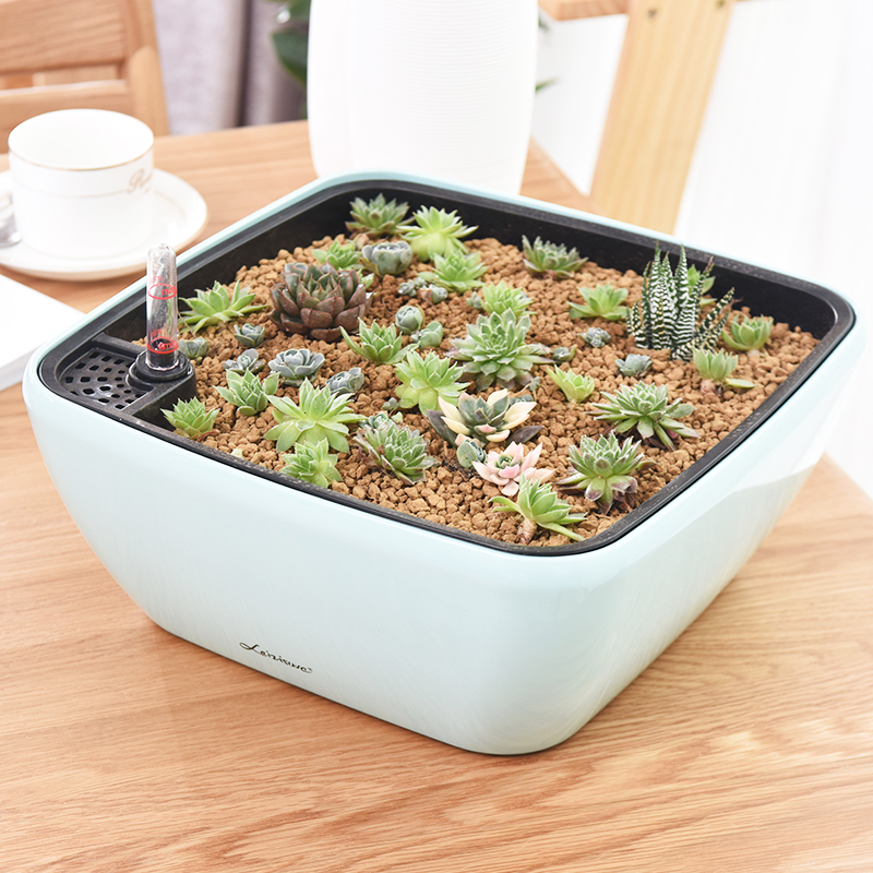方形自动吸水懒人大口径花盆多肉盆景免浇水绿萝盆栽桌面塑料创意