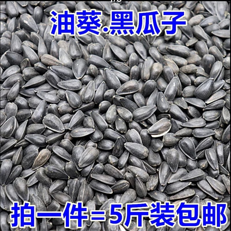 油葵籽小黑瓜子黑珍珠葵花籽子鸟食仓鼠零食鸟粮鸽粮5斤