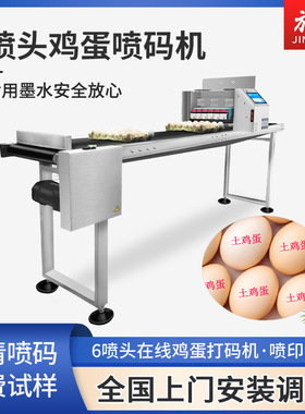 旌元J-512鸡蛋喷码机蛋托六喷头流水线喷码油墨食品级喷码机