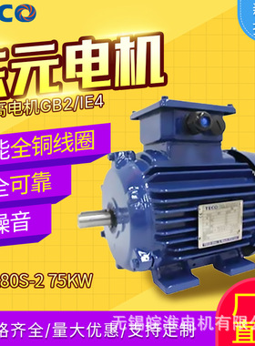 东元电机效率高电机GB2/IE4-132S1-2 5.5KW二级能效低压75kw现货
