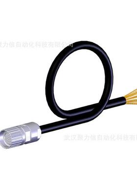 德国SCHMERSAL电磁安全锁AZM300B-ST-1P2P-A现货