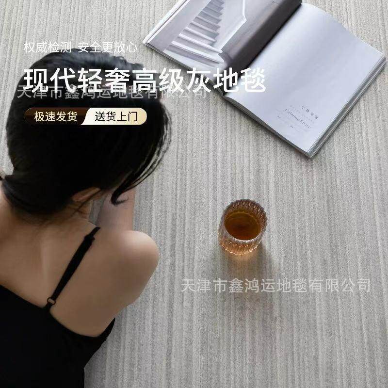 新西兰羊毛客厅地毯轻奢高级灰色沙发毯意式极简现代简约耐脏满铺