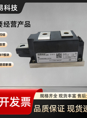 TT170N08KOF TT170N12KOF TT170N14KOF TT170N16KOF功率可控硅