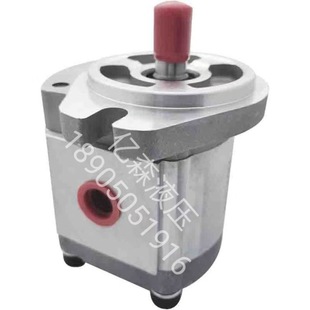 P206R P219RP01DT P208R P216 P214R KOMPASS康百世齿轮泵P204